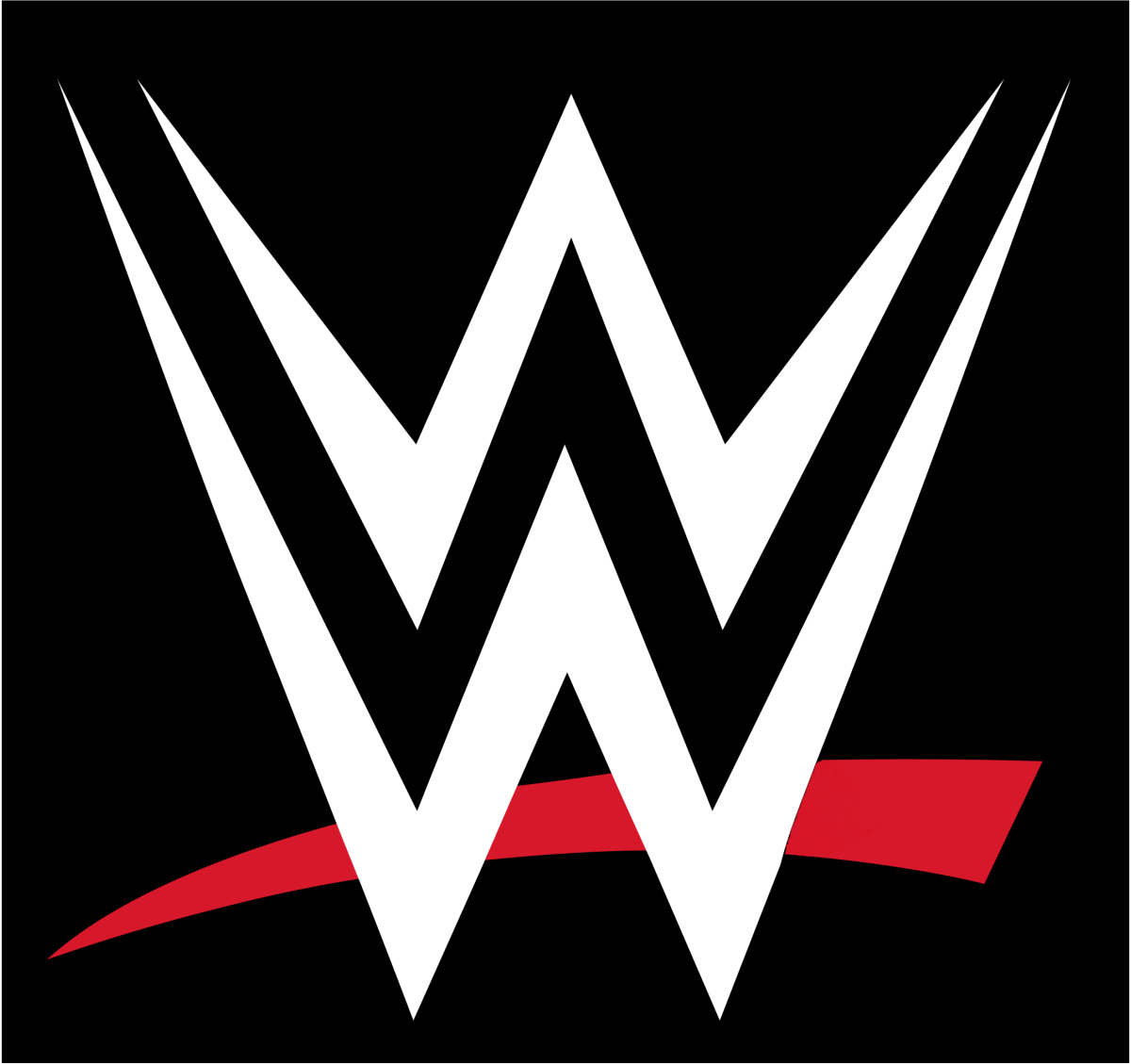 WWE ITEMS